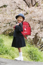 女の子桜の前で入学写真